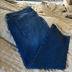 Lane Bryant Dark Blue Straight Leg tummy control jeggings.